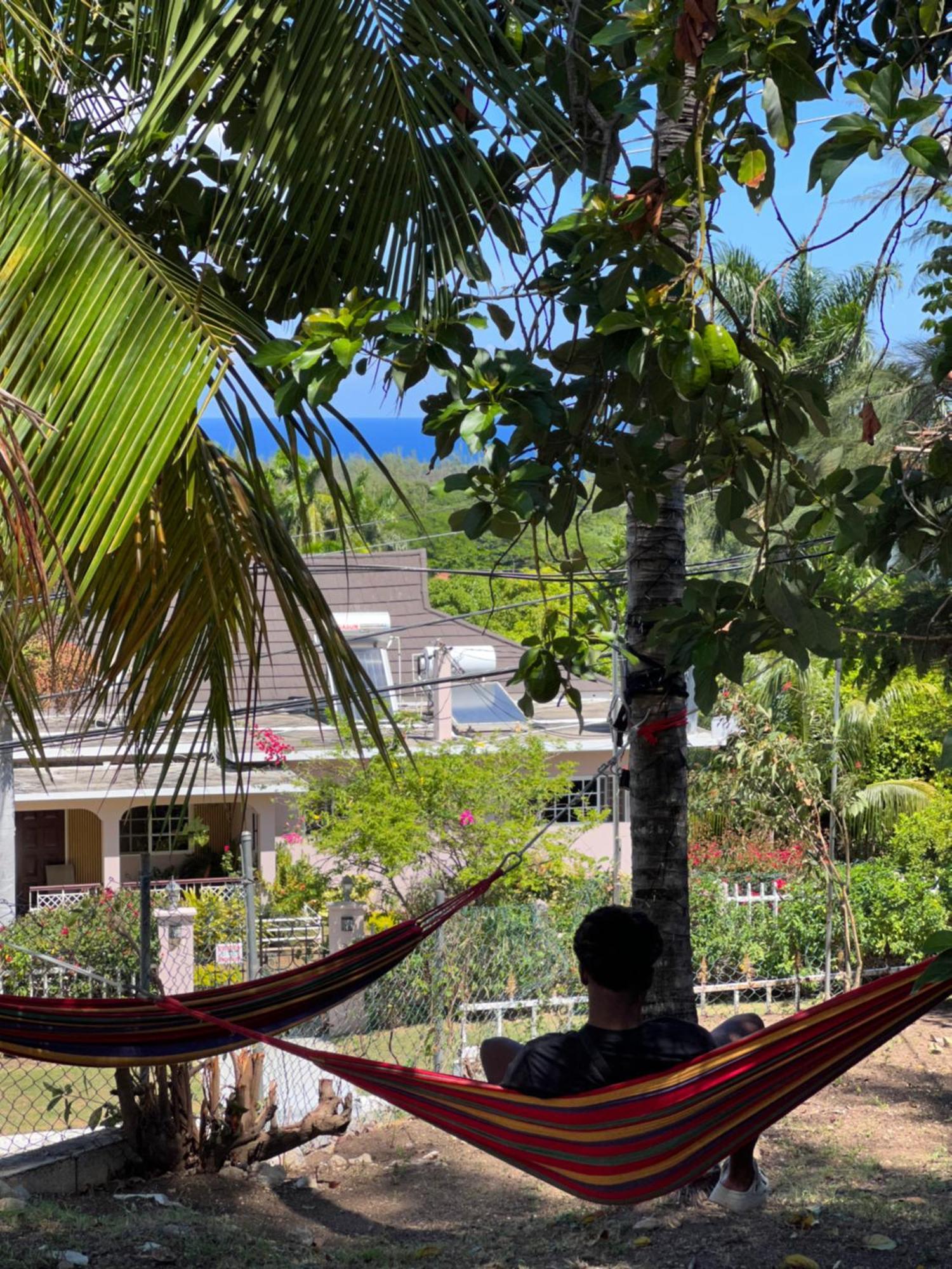 Peaceful Palms Montego Bay Hotel Bagian luar foto